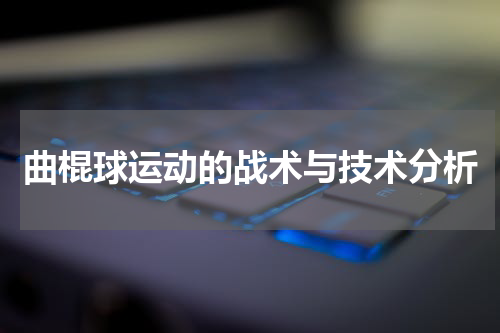 曲棍球运动的战术与技术分析