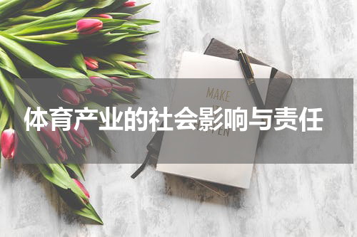 体育产业的社会影响与责任