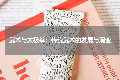 武术与太极拳:传统武术的发展与演变