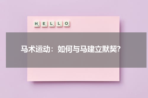 马术运动:如何与马建立默契?