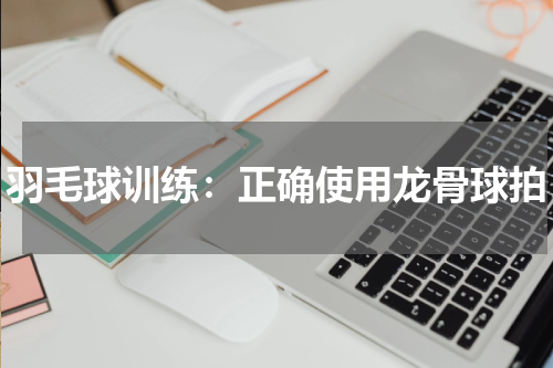 羽毛球训练:正确使用龙骨球拍