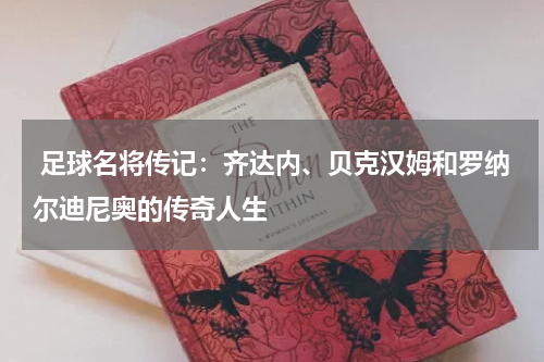  足球名将传记：齐达内、贝克汉姆和罗纳尔迪尼奥的传奇人生