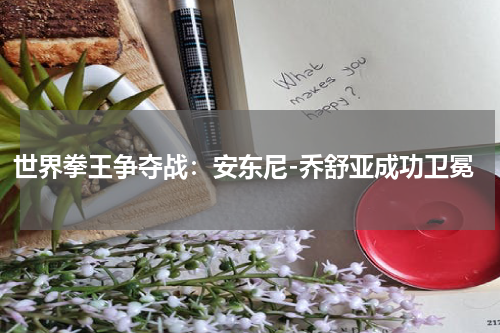 世界拳王争夺战:安东尼-乔舒亚成功卫冕