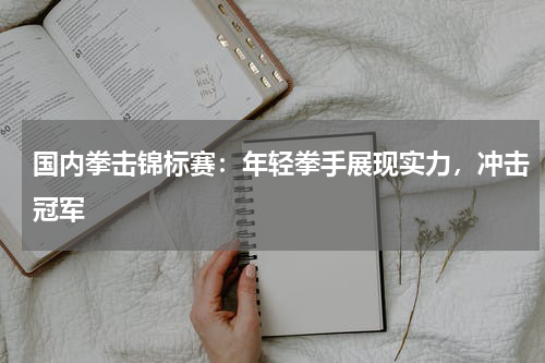 国内拳击锦标赛：年轻拳手展现实力，冲击冠军