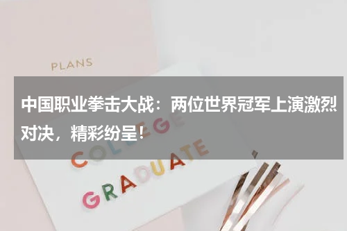 中国职业拳击大战：两位世界冠军上演激烈对决，精彩纷呈！