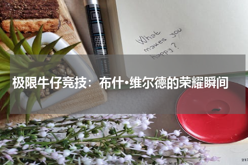 极限牛仔竞技：布什·维尔德的荣耀瞬间