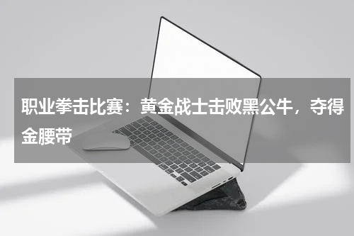 职业拳击比赛:黄金战士击败黑公牛,夺得金腰带