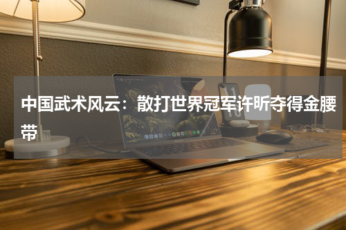 中国武术风云:散打世界冠军许昕夺得金腰带