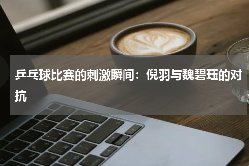 乒乓球比赛的刺激瞬间:倪羽与魏碧珏的对抗