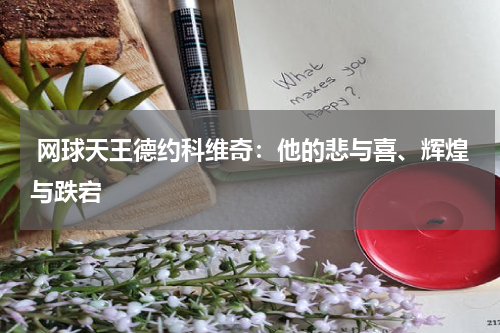 网球天王德约科维奇:他的悲与喜、辉煌与跌宕