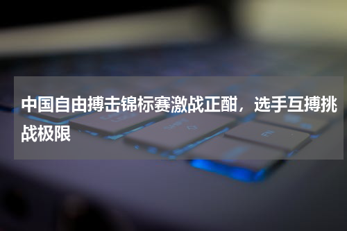 中国自由搏击锦标赛激战正酣,选手互搏挑战极限