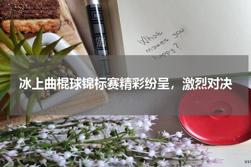 冰上曲棍球锦标赛精彩纷呈,激烈对决