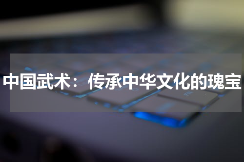 中国武术：传承中华文化的瑰宝
