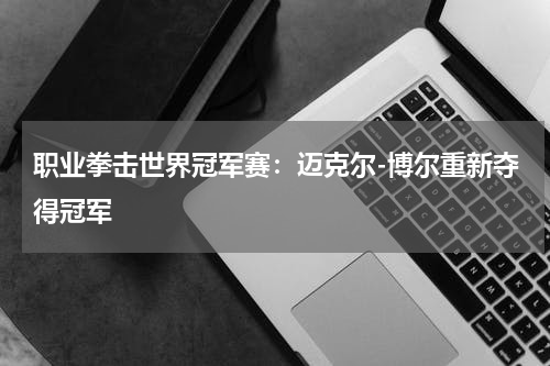 职业拳击世界冠军赛:迈克尔-博尔重新夺得冠军