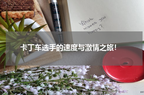 卡丁车选手的速度与激情之旅!