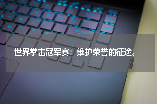  世界拳击冠军赛：维护荣誉的征途。