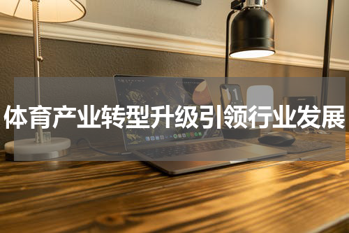 体育产业转型升级引领行业发展