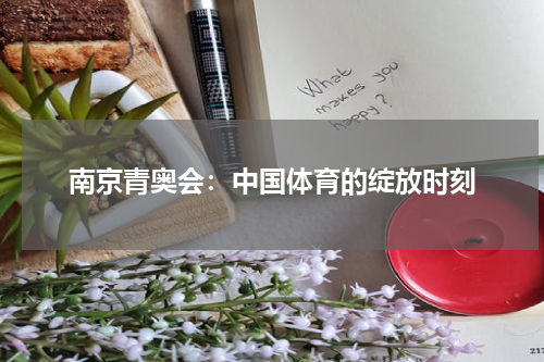 南京青奥会：中国体育的绽放时刻