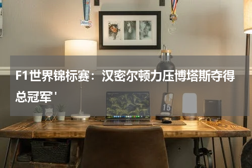 F1世界锦标赛：汉密尔顿力压博塔斯夺得总冠军" 