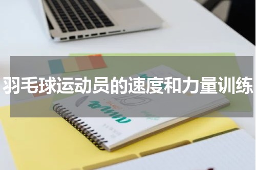 羽毛球运动员的速度和力量训练
