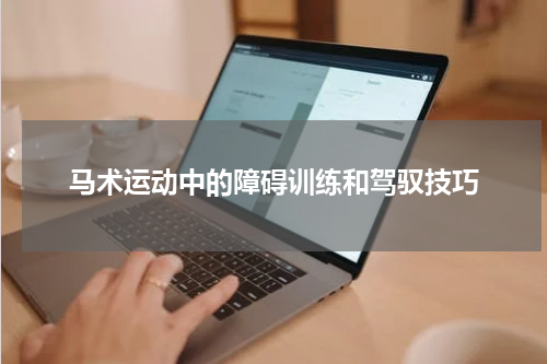 马术运动中的障碍训练和驾驭技巧