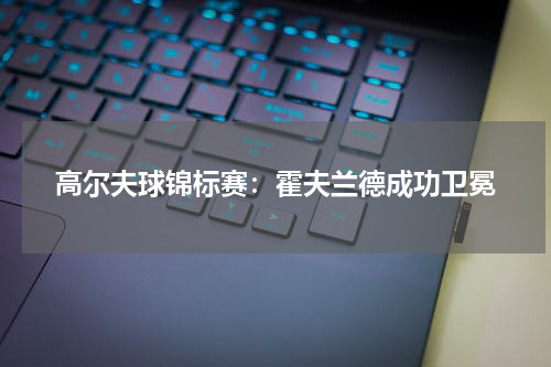 高尔夫球锦标赛：霍夫兰德成功卫冕
