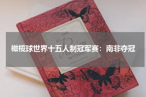 橄榄球世界十五人制冠军赛：南非夺冠