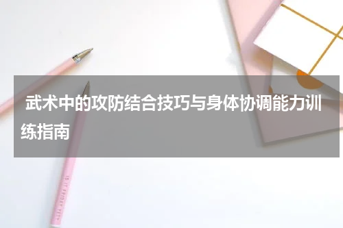  武术中的攻防结合技巧与身体协调能力训练指南