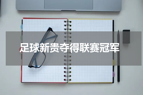  足球新贵夺得联赛冠军