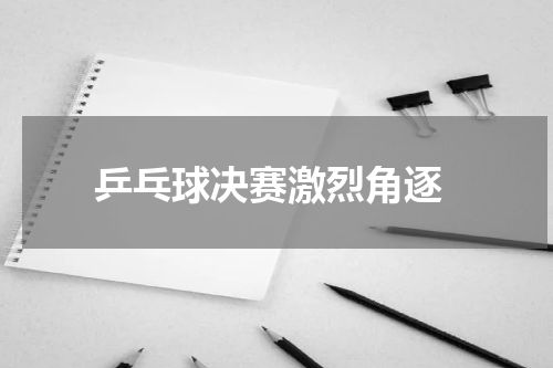  乒乓球决赛激烈角逐