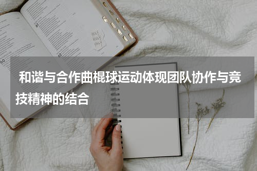  和谐与合作曲棍球运动体现团队协作与竞技精神的结合