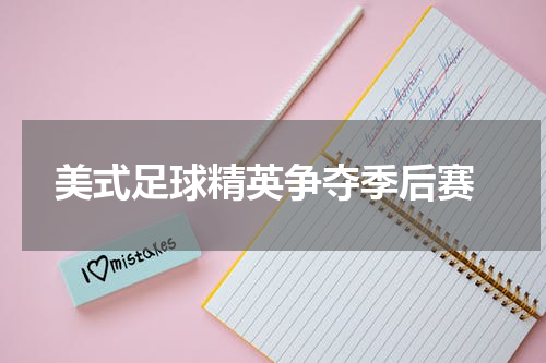  美式足球精英争夺季后赛