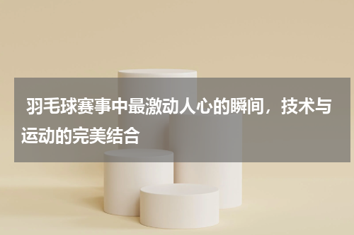 羽毛球赛事中最激动人心的瞬间,技术与运动的完美结合
