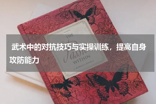 武术中的对抗技巧与实操训练,提高自身攻防能力