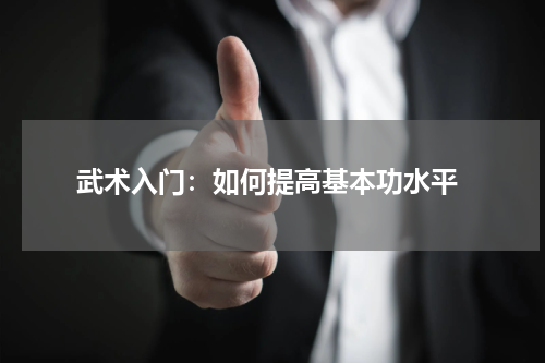 武术入门:如何提高基本功水平