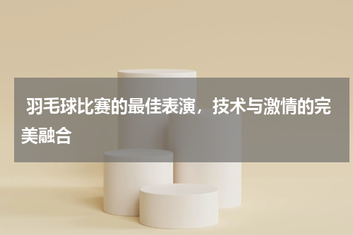 羽毛球比赛的最佳表演,技术与激情的完美融合