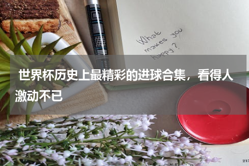  世界杯历史上最精彩的进球合集，看得人激动不已