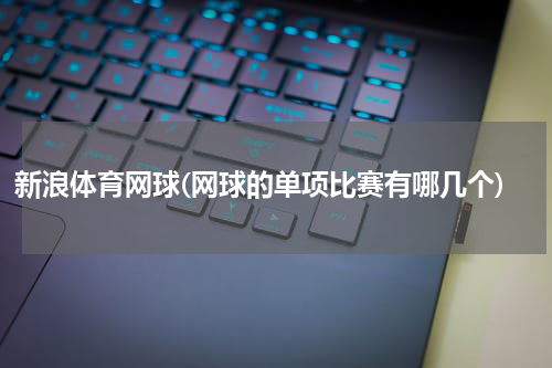 新浪体育网球(网球的单项比赛有哪几个)