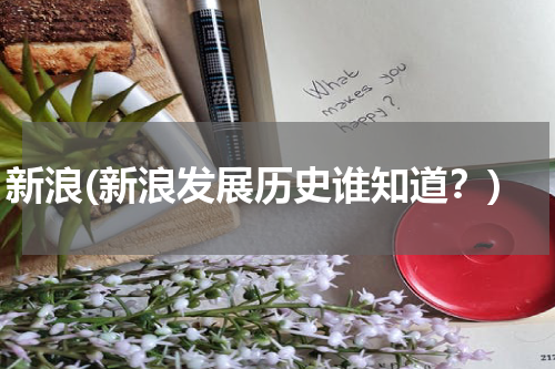 新浪(新浪发展历史谁知道?)