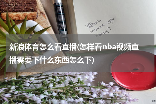 新浪体育怎么看直播(怎样看nba视频直播需要下什么东西怎么下)