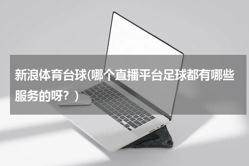 新浪体育台球(哪个直播平台足球都有哪些服务的呀?)