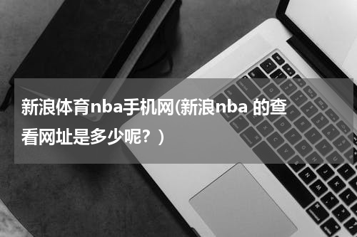新浪体育nba手机网(新浪nba 的查看网址是多少呢?)
