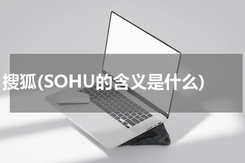 搜狐(SOHU的含义是什么)