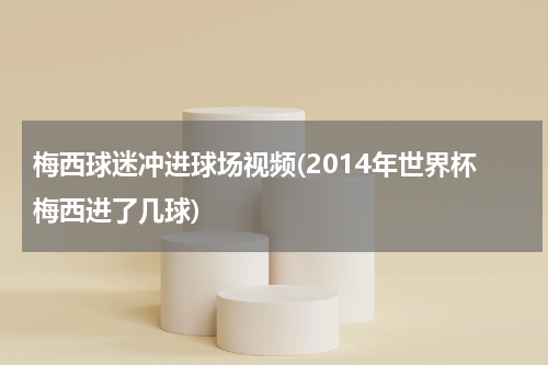 梅西球迷冲进球场视频(2014年世界杯梅西进了几球)
