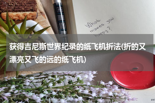 获得吉尼斯世界纪录的纸飞机折法(折的又漂亮又飞的远的纸飞机)