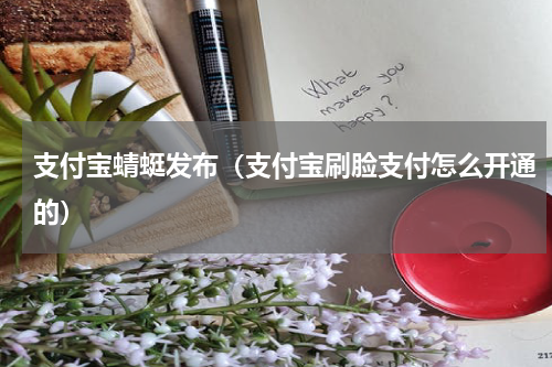 支付宝蜻蜓发布(支付宝刷脸支付怎么开通的)
