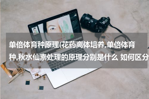 单倍体育种原理(花药离体培养,单倍体育种,秋水仙素处理的原理分别是什么 如何区分这这三种方法?)