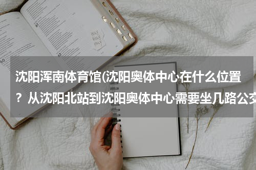 沈阳浑南体育馆(沈阳奥体中心在什么位置?从沈阳北站到沈阳奥体中心需要坐几路公交车,远吗?)